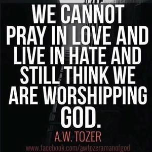 Meet your Posher, Hazel